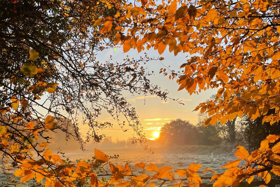 Autumn Offer The Old Bridge
